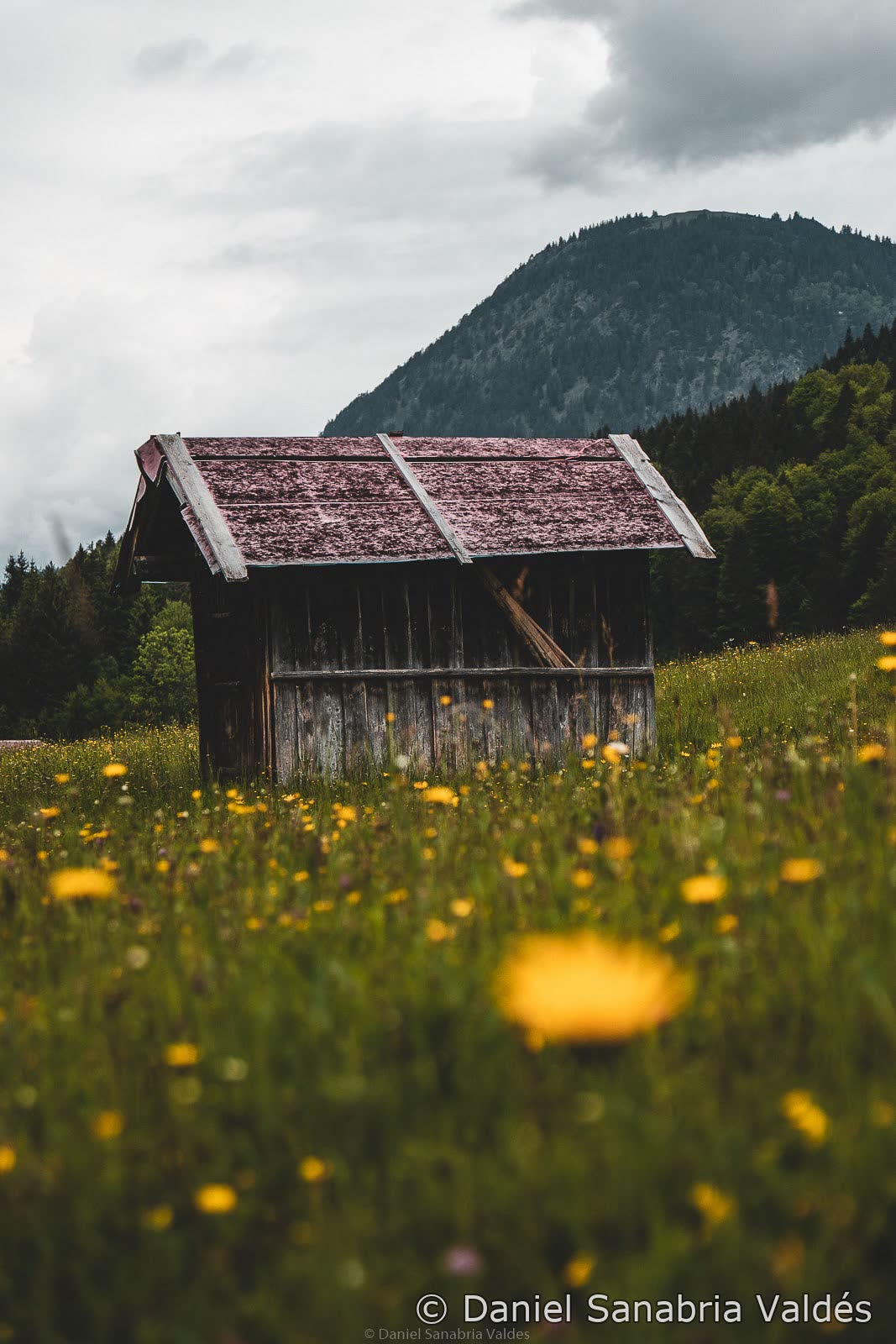 Landscape photograph 12