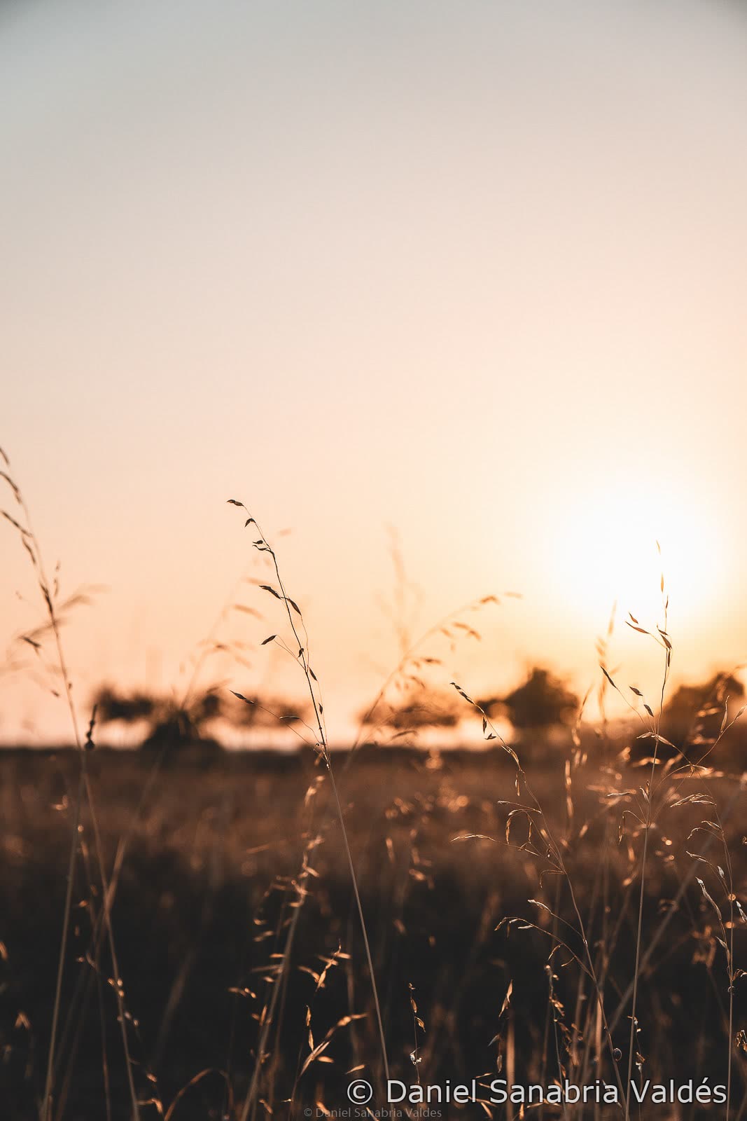Landscape photograph 13