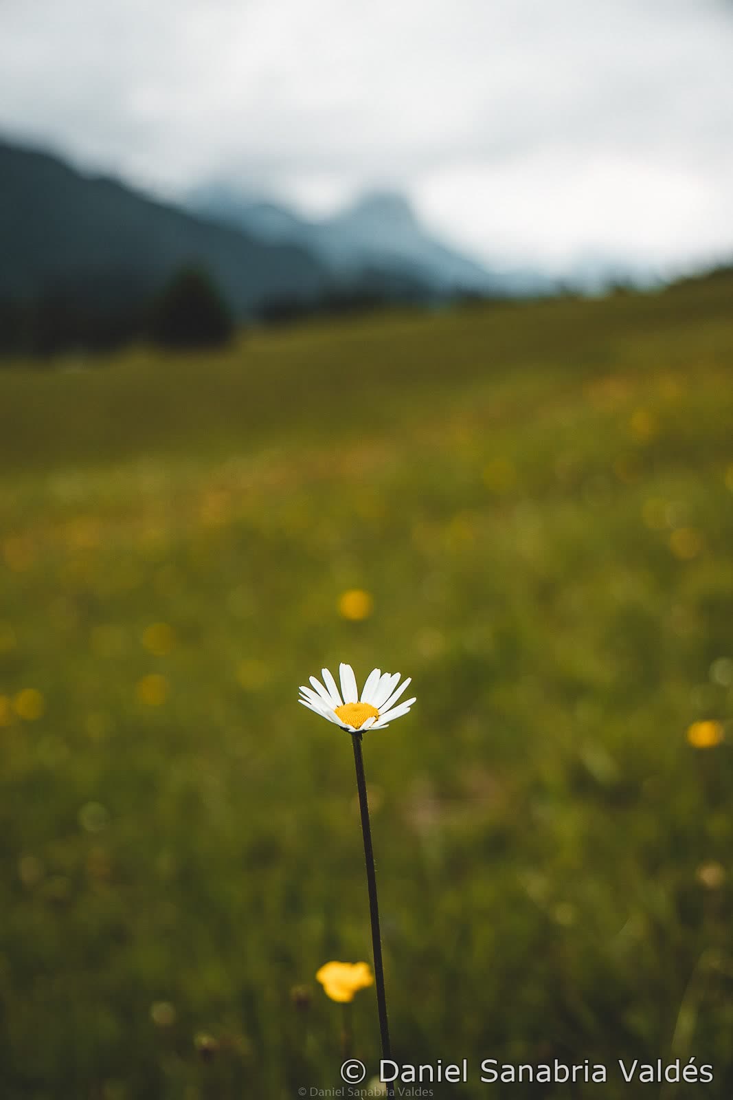 Landscape photograph 22